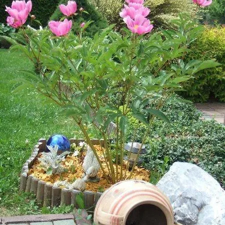 Appartement Lungau - Haus Esl Hintergöriach